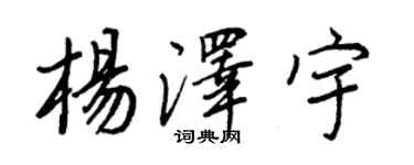 王正良楊澤宇行書個性簽名怎么寫