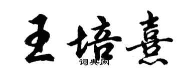 胡問遂王培熹行書個性簽名怎么寫