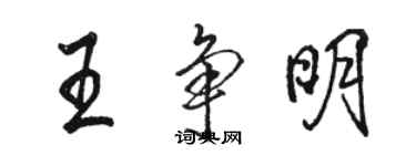 駱恆光王爭明行書個性簽名怎么寫