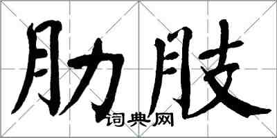 翁闓運肋肢楷書怎么寫