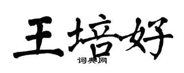 翁闓運王培好楷書個性簽名怎么寫