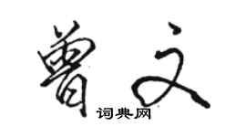 駱恆光曾文行書個性簽名怎么寫