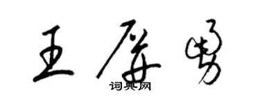 梁錦英王屏勇草書個性簽名怎么寫