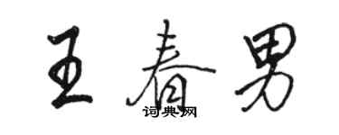 駱恆光王春男行書個性簽名怎么寫