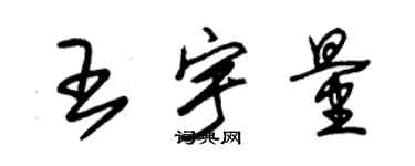 朱錫榮王宇量草書個性簽名怎么寫