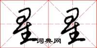 朱錫榮星星草書怎么寫
