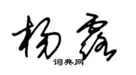 朱錫榮楊露草書個性簽名怎么寫