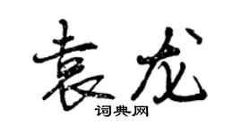 曾慶福袁龍行書個性簽名怎么寫