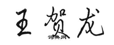 駱恆光王賀龍行書個性簽名怎么寫