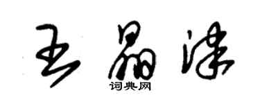 朱錫榮王晶津草書個性簽名怎么寫