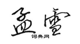 駱恆光孟雪行書個性簽名怎么寫