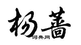胡問遂楊薔行書個性簽名怎么寫