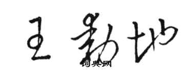 駱恆光王動地草書個性簽名怎么寫