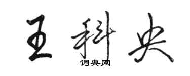 駱恆光王科央行書個性簽名怎么寫