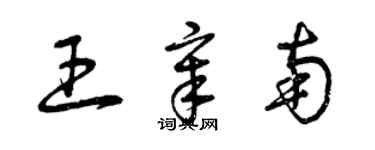 曾慶福王章南草書個性簽名怎么寫