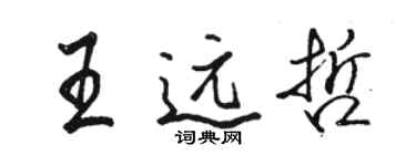駱恆光王遠哲行書個性簽名怎么寫