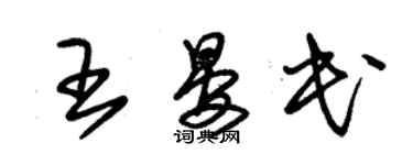 朱錫榮王晏民草書個性簽名怎么寫