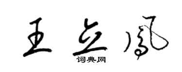 梁錦英王立鳳草書個性簽名怎么寫