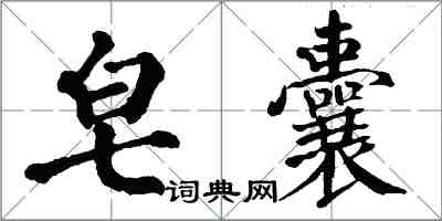 翁闓運皂囊楷書怎么寫