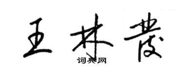 梁錦英王林發草書個性簽名怎么寫