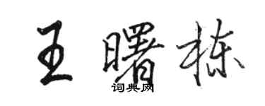 駱恆光王曙棟行書個性簽名怎么寫