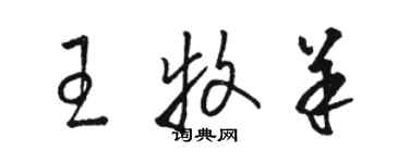 駱恆光王牧羊草書個性簽名怎么寫