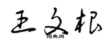 曾慶福王文根草書個性簽名怎么寫