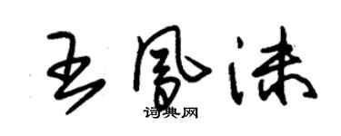 朱錫榮王鳳沫草書個性簽名怎么寫