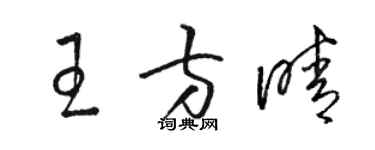 駱恆光王方晴草書個性簽名怎么寫