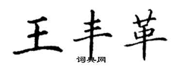 丁謙王豐革楷書個性簽名怎么寫