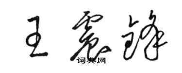 駱恆光王震鋒草書個性簽名怎么寫