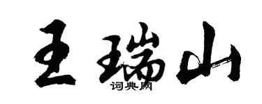 胡問遂王瑞山行書個性簽名怎么寫