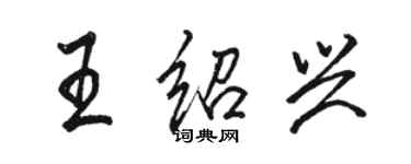 駱恆光王紹興行書個性簽名怎么寫