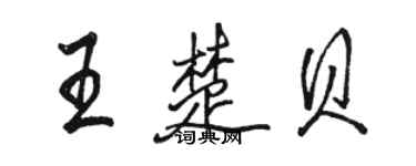 駱恆光王楚貝行書個性簽名怎么寫