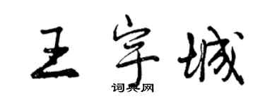 曾慶福王宇城行書個性簽名怎么寫