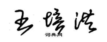 朱錫榮王培洪草書個性簽名怎么寫