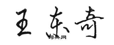 駱恆光王東奇行書個性簽名怎么寫