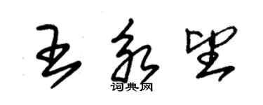 朱錫榮王永望草書個性簽名怎么寫