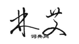 駱恆光林艾草書個性簽名怎么寫