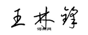 梁錦英王林鋒草書個性簽名怎么寫