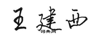 駱恆光王建西行書個性簽名怎么寫