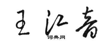駱恆光王江音草書個性簽名怎么寫