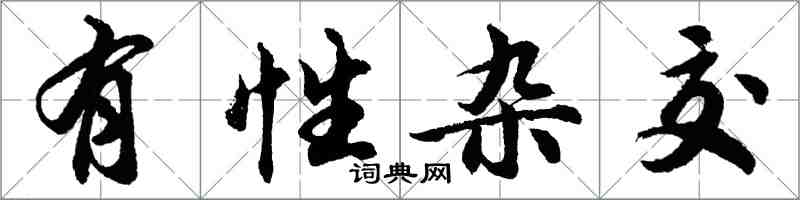 胡問遂有性雜交行書怎么寫