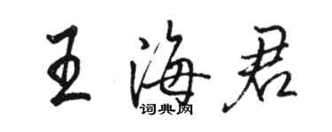 駱恆光王海君行書個性簽名怎么寫