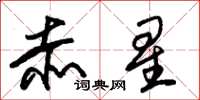 朱錫榮赤星草書怎么寫