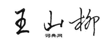 駱恆光王山柳行書個性簽名怎么寫