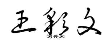 曾慶福王彩文草書個性簽名怎么寫