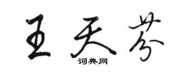 駱恆光王天芬行書個性簽名怎么寫