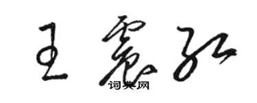 駱恆光王震紅草書個性簽名怎么寫