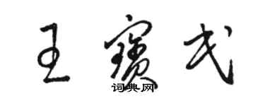 駱恆光王寶民草書個性簽名怎么寫